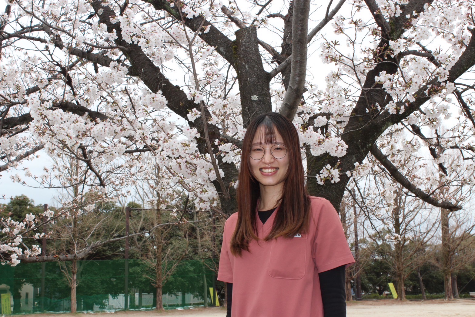 先輩からのメッセージ